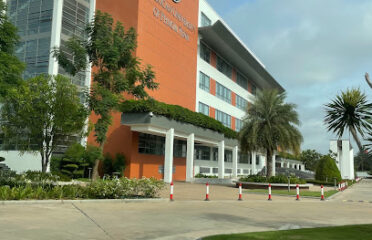 American University of Phnom Penh