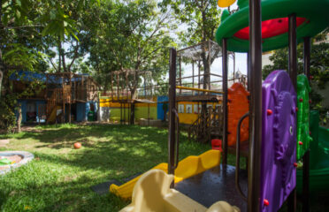 Treehouse International School – Early Years and Primary School