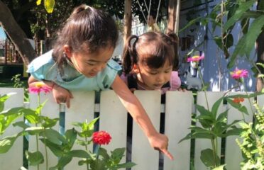 IPC Green Angkor International