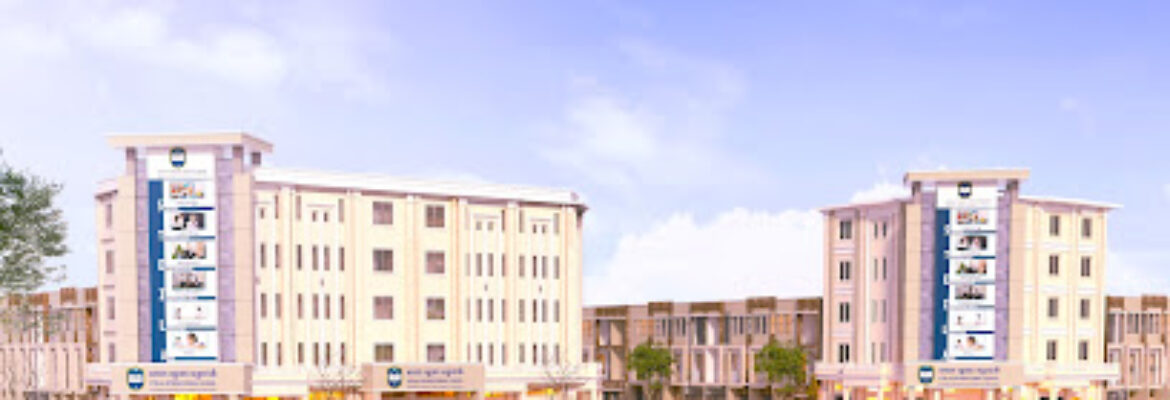 STEILA International School