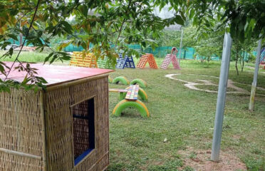 The Learning Tree Kep